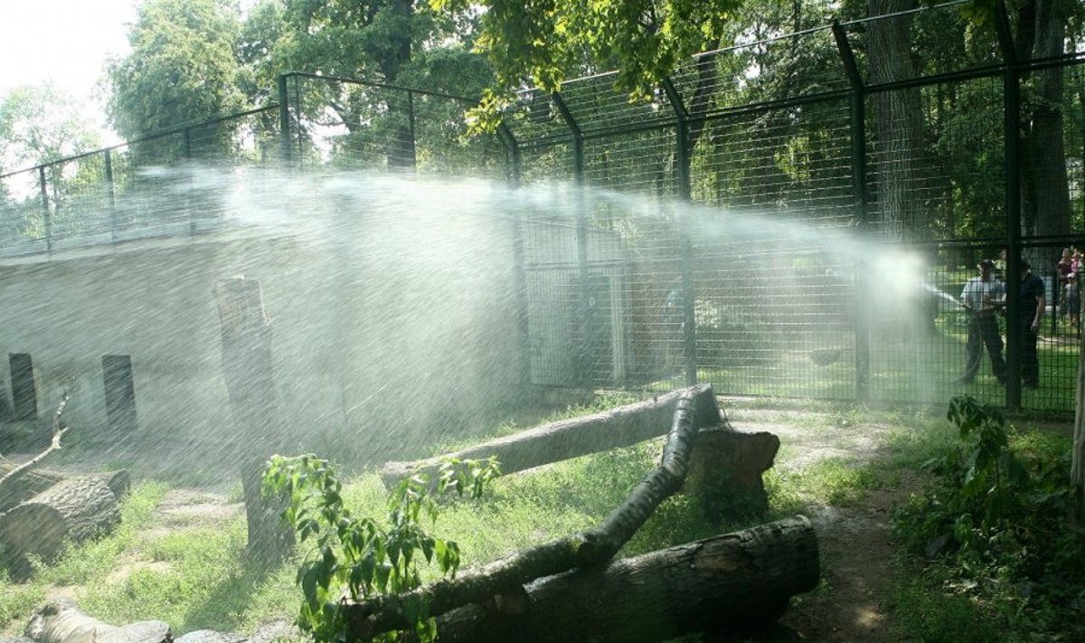 Zoologijos sodo gyventojams gelbėtis nuo karščio padeda Kauno ugniagesiai