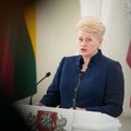 Lithuanian president: Russian invasion jeopardizes Ukraine's future and international peace