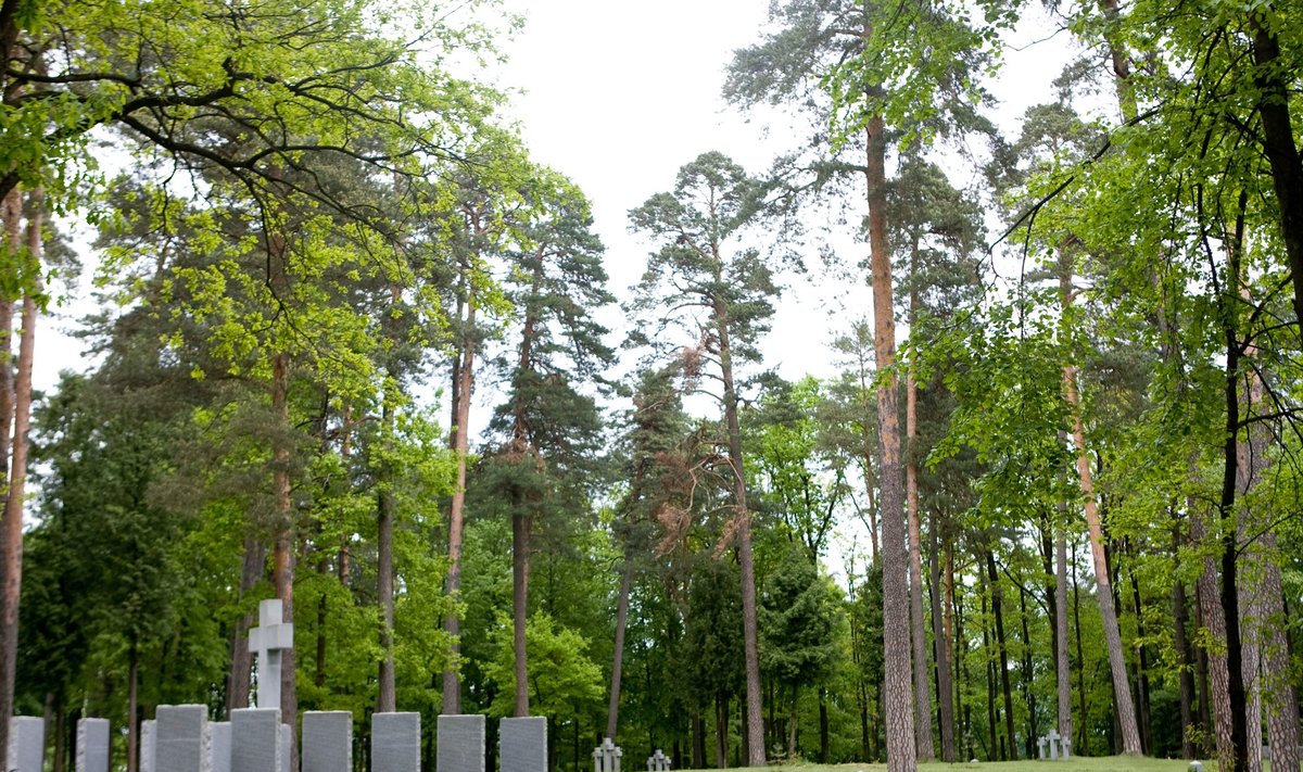 Vingio Park cemetery