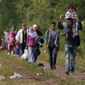 Vengrijoje – rekordinis migrantų antplūdis