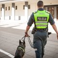 Klaipėdoje į darbą išėjusi moteris mįslingai dingo: policijos tarnybinis šuo pilietę surado prie geležinkelio