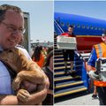 Oro linijų bendrovė išgelbėjo beglobius gyvūnus: nuskraidino iš nusiaubto regiono