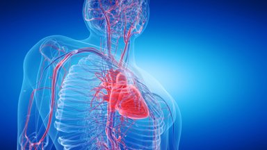 Naujas tyrimas parodė, koks fizinis aktyvumas smarkiai sumažina sunkios širdies ligos riziką