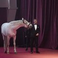 Piktinatės žirgu „Sidabrinių gervių“ ceremonijoje? Istorija iš Rusijos, po kurios niekas nebebuvo taip pat
