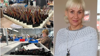 Gamyklos Klaipėdoje vadovė Vaicekauskienė: lietuviai visiškai nebenori dirbti