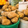 Bulvėms prognozuoja brangimą: lietuviškų gali net pritrūkti