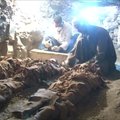Egipte atrasta nauja auksakalio kapavietė papildys gausųjį Luksoro lobyną