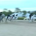 Šiaurės Korėja leido savo žmonėms dalyvauti žirgų lenktynių lažybose