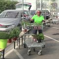 Šveicarijoje sėklų ir sodinukų galima nusipirkti neišlipant iš automobilio