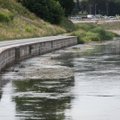 Lietuvos upių būklė – stichinė: gali drastiškai sumažėti žuvų