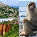 Kelyje po Europą: džiaugsmas piniginei, laisvėje gyvenančios beždžionės ir laimingi žmonės