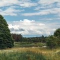 Botanikai skambina pavojaus varpais: Lietuva gali prarasti natūralias pievas