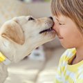 Psichologė: vaikas iki 10 metų negali savarankiškai pasirūpinti šunimi