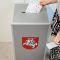 На выборах представителей Литвы в Европарламент также проголосовали 228 иностранцев