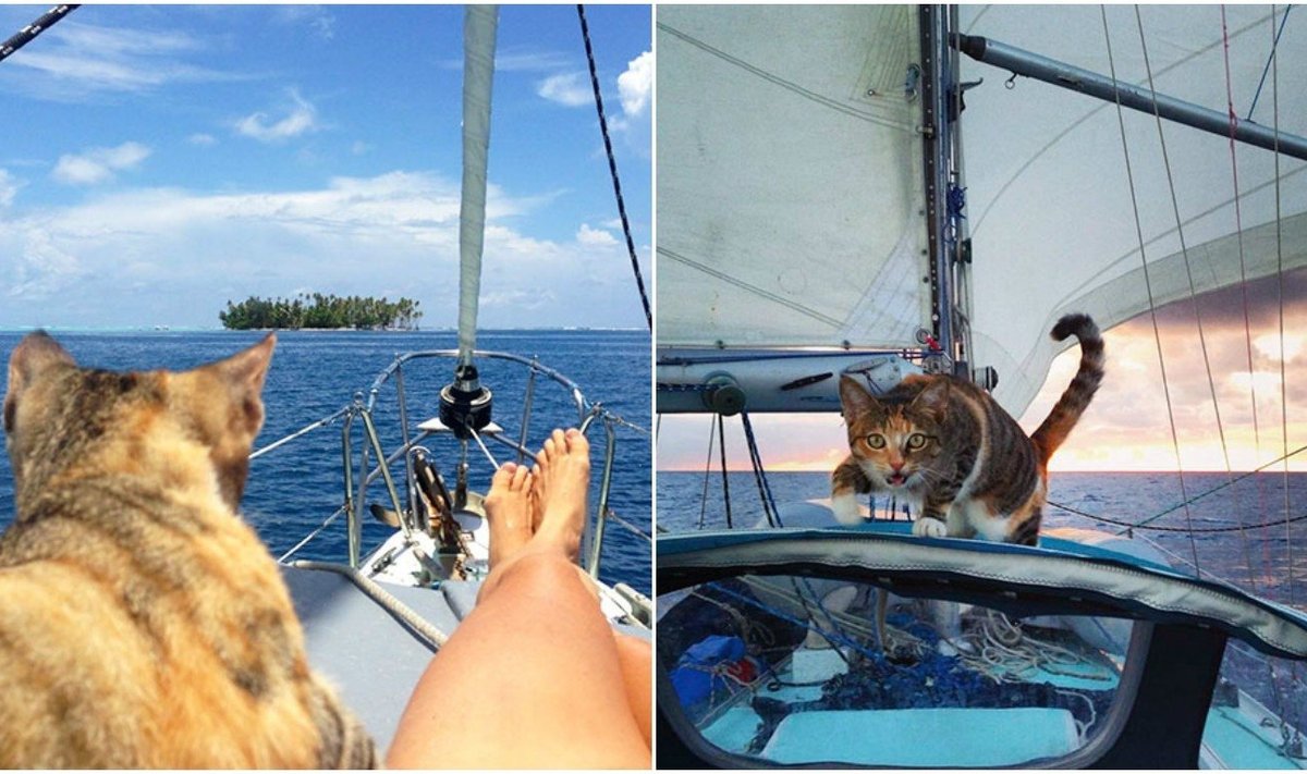 Moteris su katė keliauja aplink pasaulį