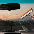 Kaip kovoti su prie automobilio langų priskretusiais mašalais?