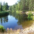 Dėl padidėjusio žarnyno lazdelių kiekio nerekomenduojama maudytis Žeimenos upėje