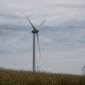 Vėjo elektrinės pernai pagamino rekordinį kiekį elektros energijos