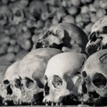 VU mokslininkas – apie netoli Biržų aptiktą vieną seniausių juodosios mirties liudijimų