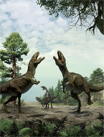 Acrocanthosaurus. Xing Lida iliustr.