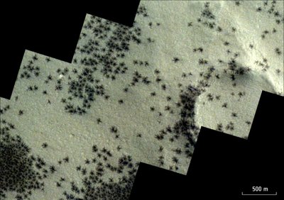 Struktūros Marse primena voriukus ar net senovinio miesto likučius. ESA/DLR/FU Berlin nuotr.
