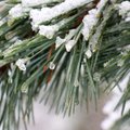 Прогноз синоптиков: во вторник местами возможен снег