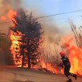 Pietų Prancūzijoje miškų gaisrai kelia pavojų pramonės kompleksui