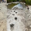 Dėl sausros nusekusi upė atidengė neįtikėtiną radinį – prieš 113 mln. metų praėjusio milžiniško dinozauro pėdsakus