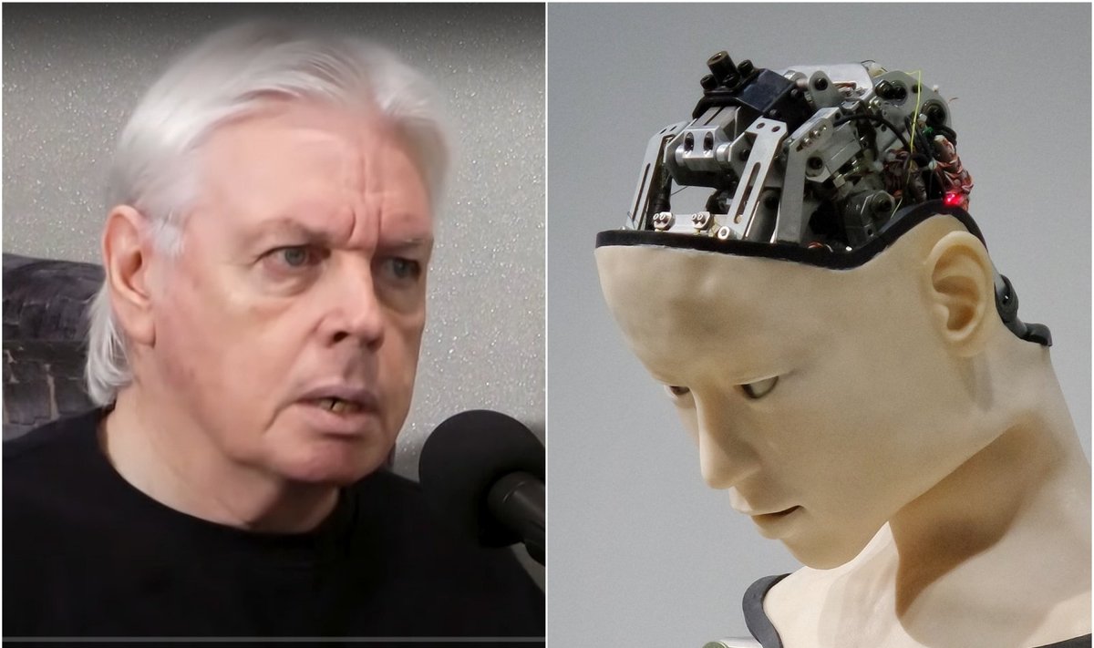 Kairėje - sąmokslo teorijų kūrėjas David Icke