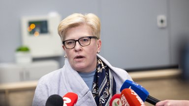 Премьер-министр: Россия пытается устроить хаос в Литве