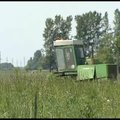 Vasara kaime 2009: ekologiniai ūkiai Lietuvoje