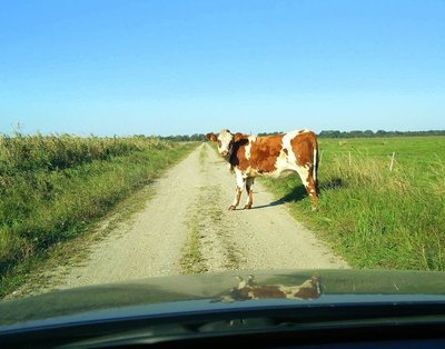 Rekomendacijos, ką nuveikti ilgąjį savaitgalį