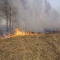Trečiadienį išdegė beveik 84 ha atvirų teritorijų