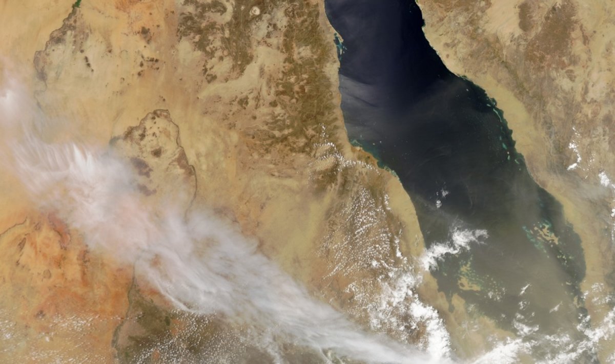 NASA paskelbė palydovo atsiųstą vaizdą - išsiveržęs ugnikalnis matomas dešiniajame apatiniame kampe, o jo pelenų debesis driekiasi aukštyn į kairę,