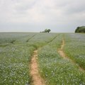 Žemės mokesčiu nepatenkinti ir gyventojai, ir verslininkai