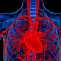 Turintys širdies problemų šiuo metu privalo būti ypač atsargūs: vadovaukitės kardiologės patarimais