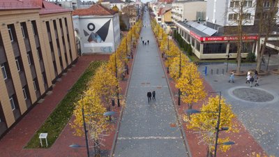 Vitalio Lebedžio nuotrauka, Šiaulių bulvaras rudenį