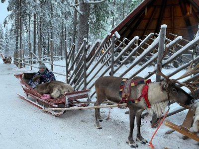 Tėčio ir dukters akimirkos iš kelionės į Laplandiją