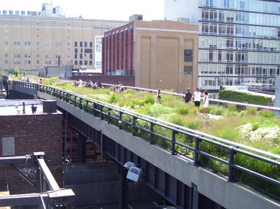 Sodo ant stogo pavyzdys Niujorke, JAV