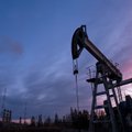 Ekspertai: dvejus metus naftos gavyba didės, o kainos mažės