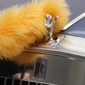 „Rolls-Royce“ plečiasi į besivystančias šalis