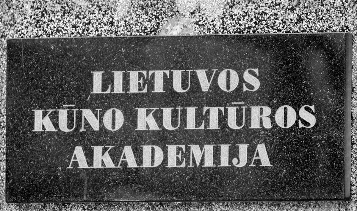 Lietuvos kūno kultūros akademija