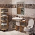 Tyrimas nustebins: kokį vonios kambarį renkasi ir ką jame veikia lietuviai, latviai ir estai