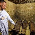 Archeologai Egipte rado mumifikuotų liūtų