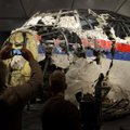Lietuva ragina Rusiją pripažinti išvadas apie jos vaidmenį numušant lėktuvą MH17