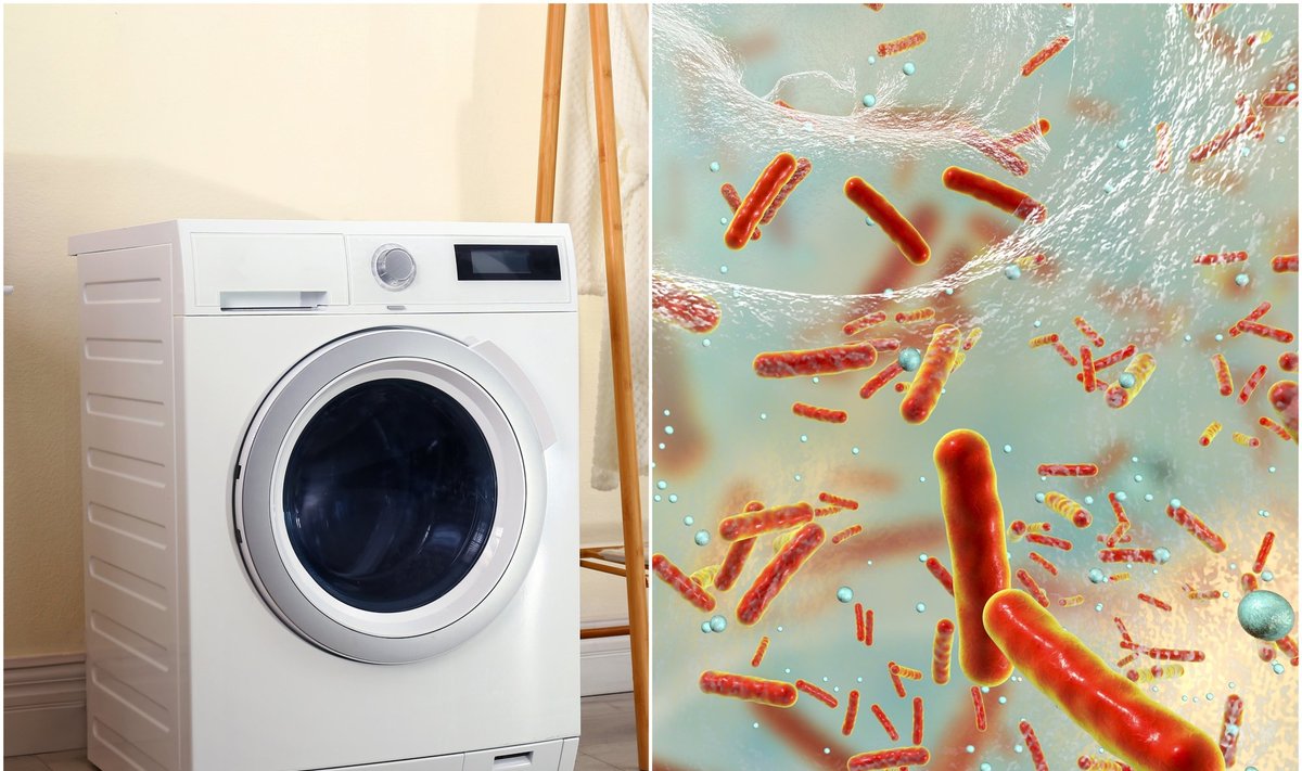 Taupi skalbimo mašina ir bakterijos