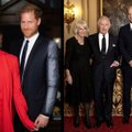Eksperto teigimu, nauja Meghan ir Harry fotografija – dar vienas spjūvis karališkajai šeimai į veidą