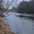 Nevėžio upėje Panevėžyje aptikta negyva moteris