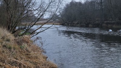 Nevėžio upė šiltą žiemą