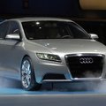 Audi дал зеленый свет на развитие семиместного минивэна